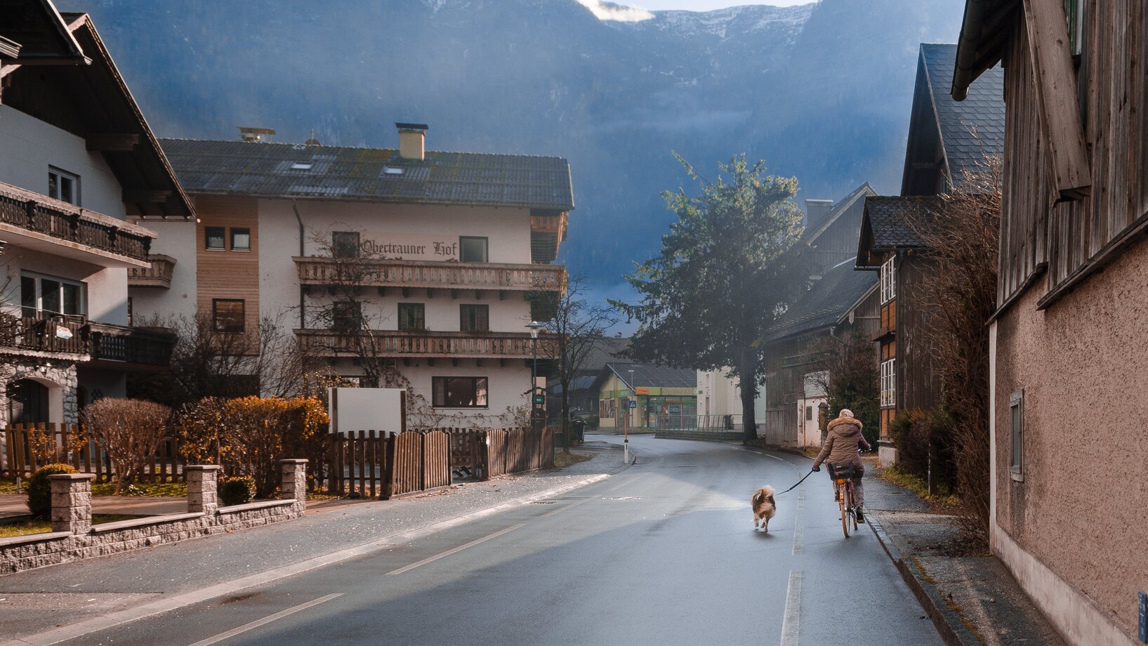 Unrecognizable woman walking dog on road near mountains and buildings