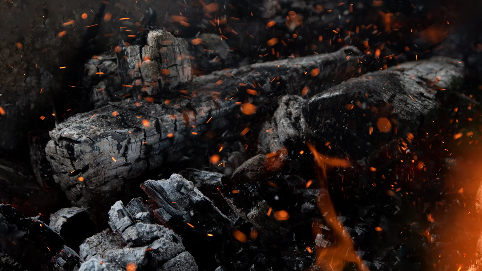 Close up of wood burning in fireplace
