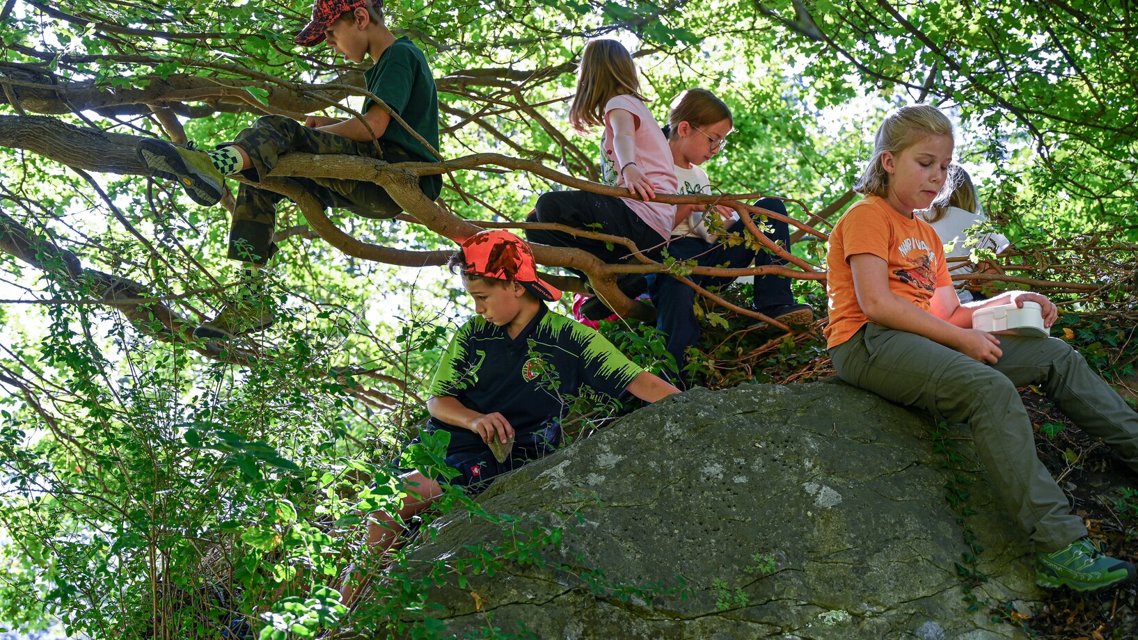 sechs Kinder sitzen auf einem Felsen und auf den Ästen eines Baumes