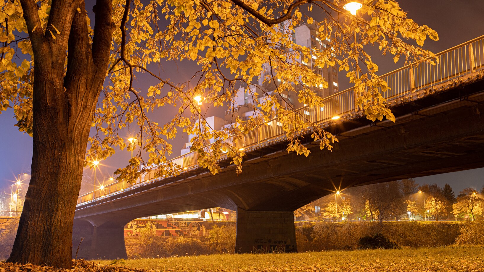 Autumn tree near bridge in town at night