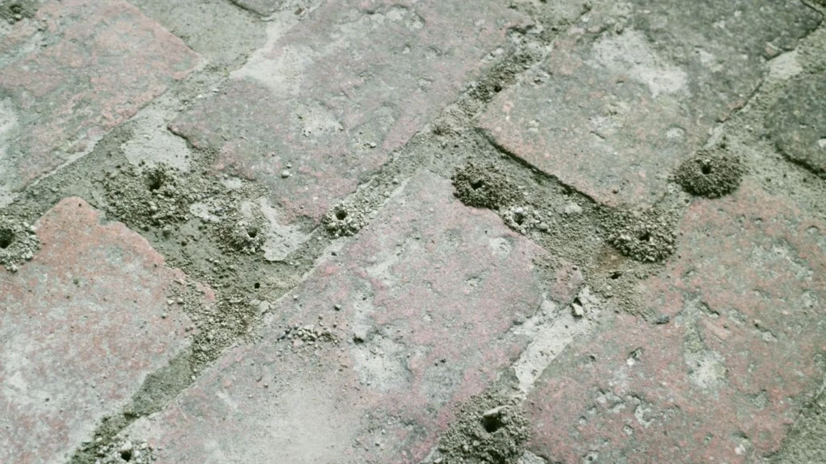 Sandfugen mit Bienennestern