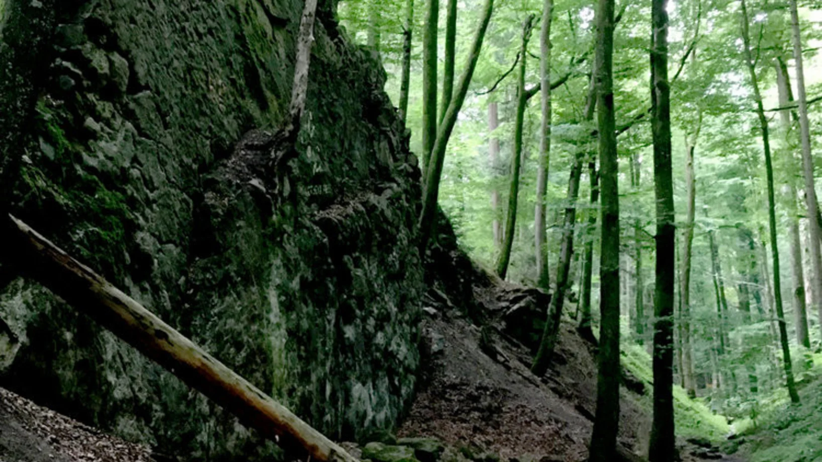 Naturstreifzug Wolfsschlucht