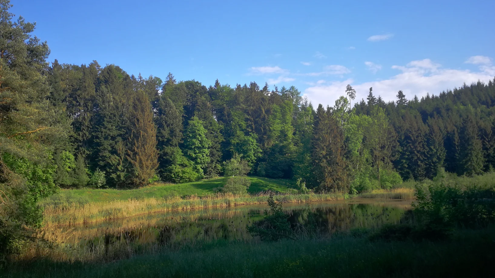 Wagemoos, Udligenswil