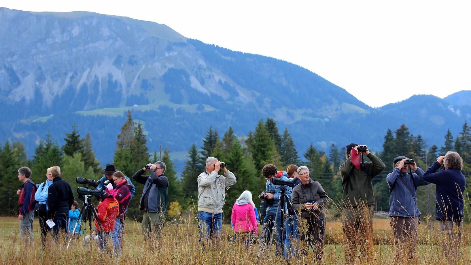 EuroBirdwatch