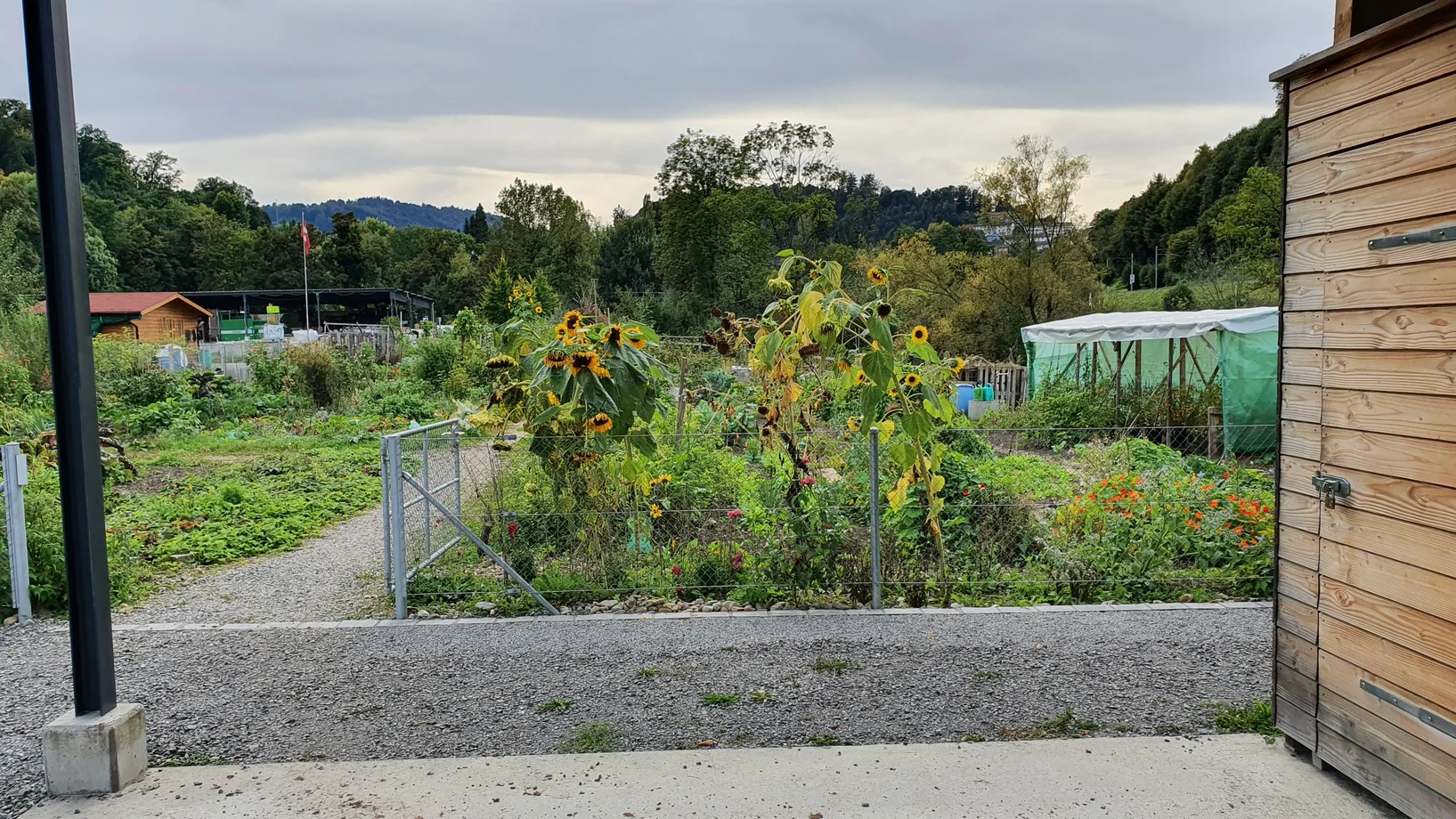 Bild Gemeinschaftsgartens im Friedental