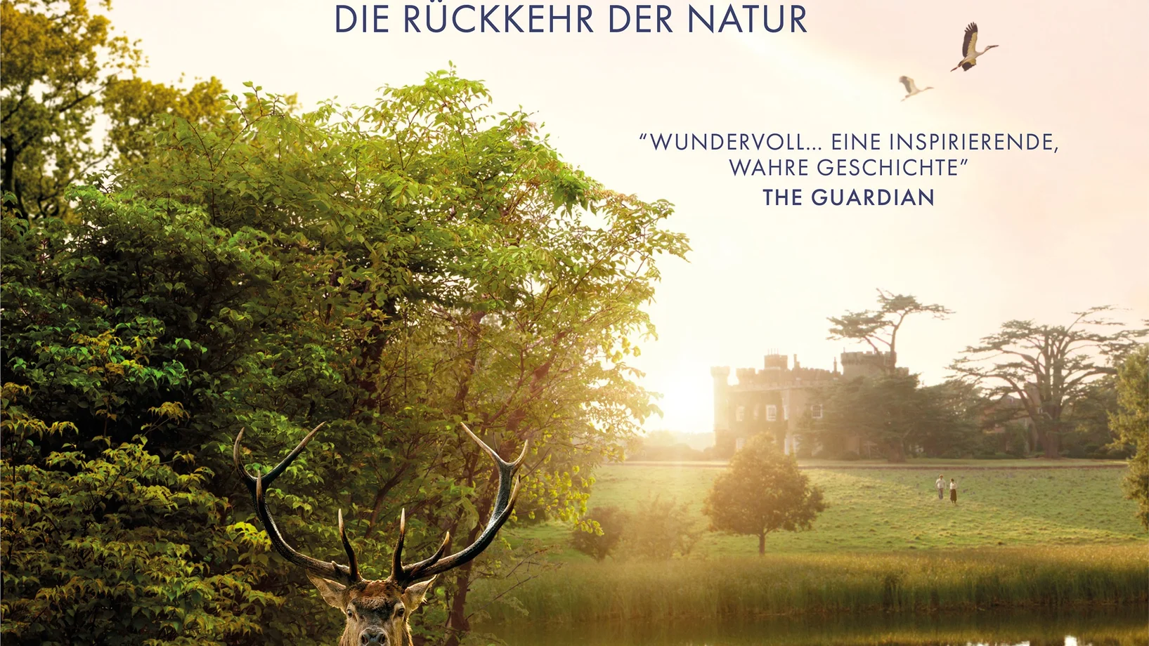 Offizielles Filmplakat Wildes Land Polyband