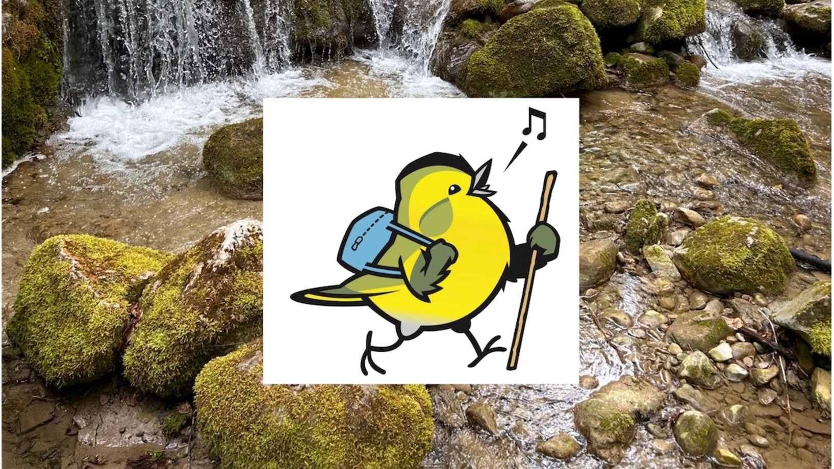 Wandervogel am Bach: Naturerlebnis für Kinder