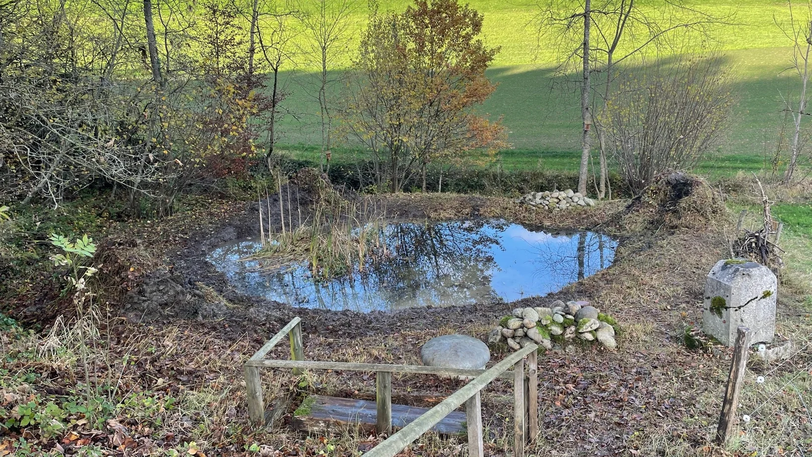 Natürlicher Weiher