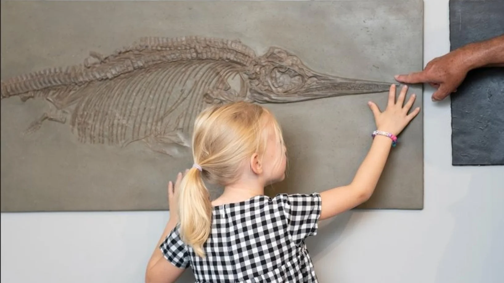 Familienführung: Fake or fact? Geheimnisvolle Museumsobjekte
