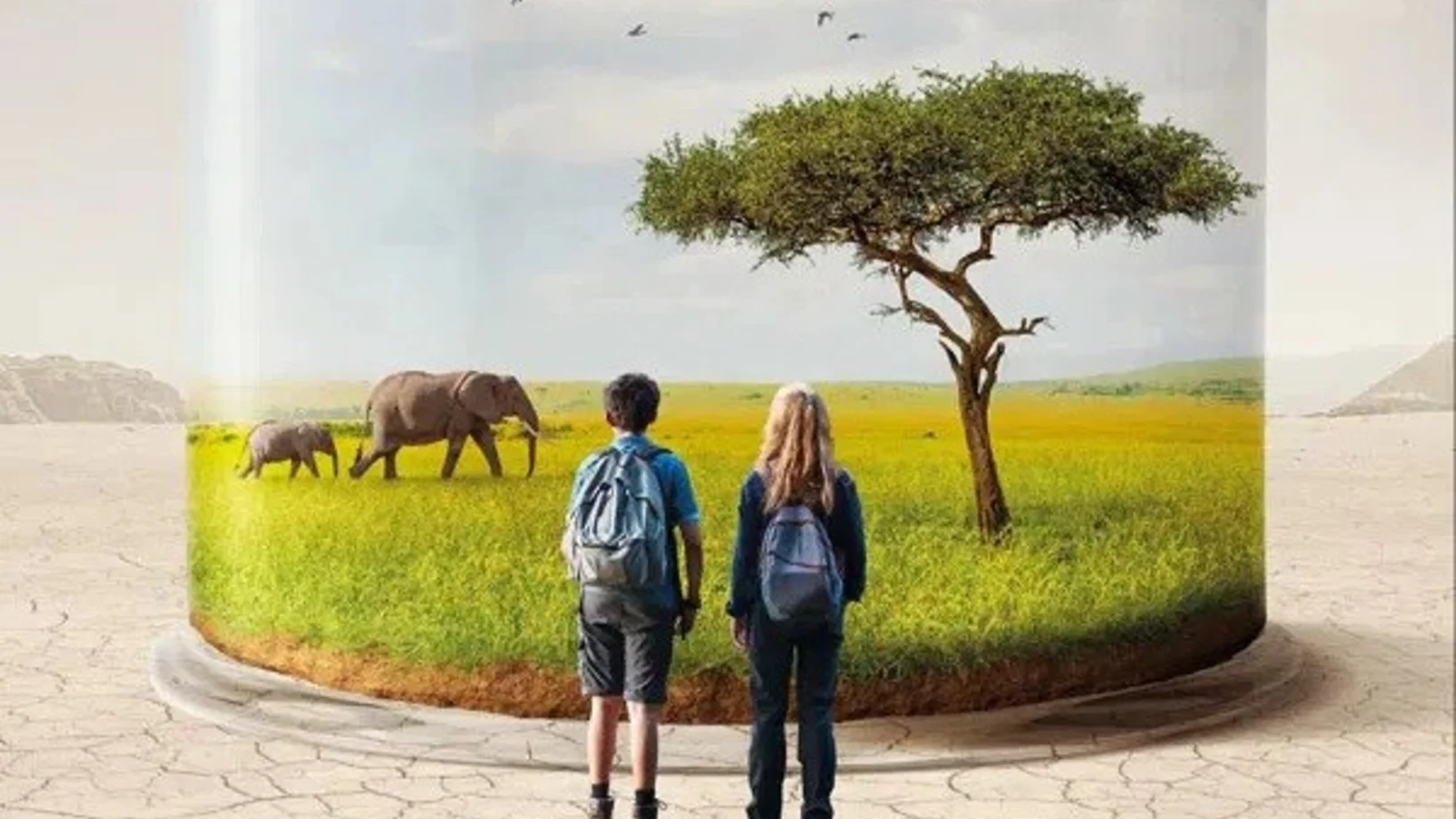 Titelbild Animal Dokumentarfilm