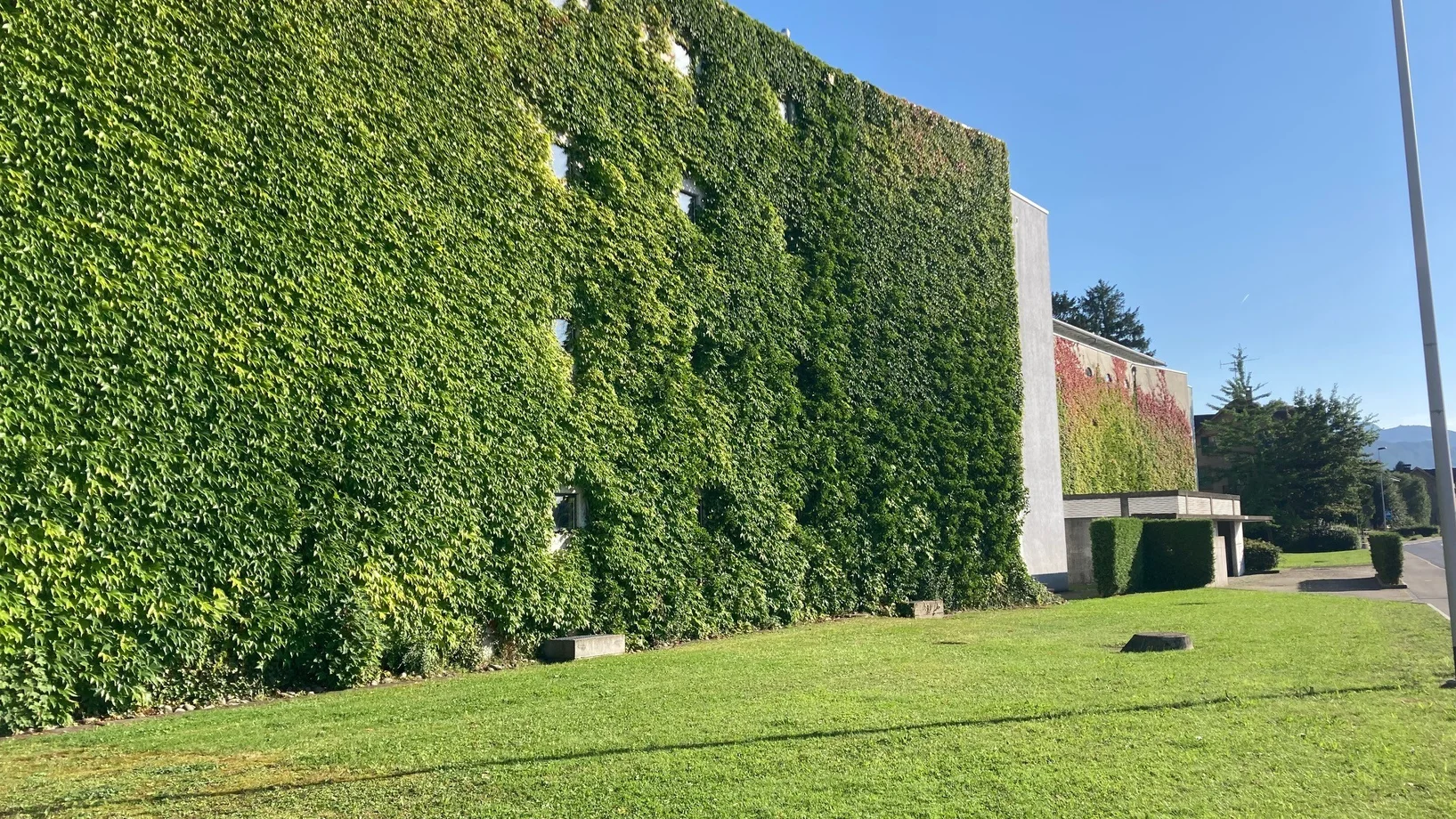 Grosse begrünte Fassade
