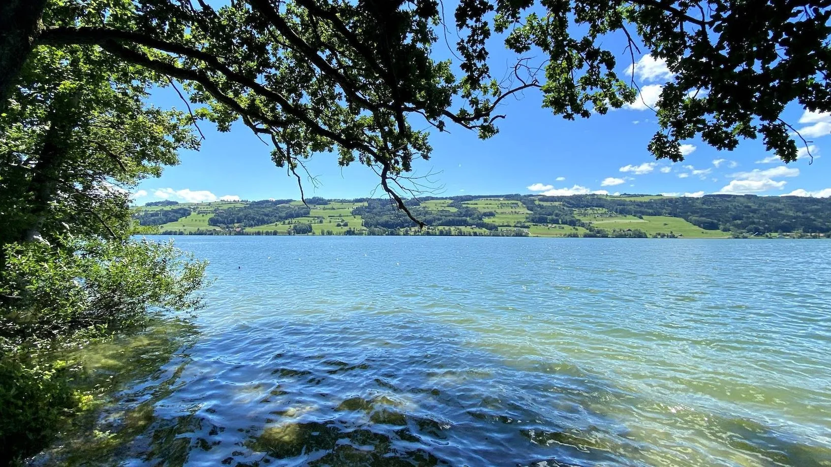 Baldeggersee