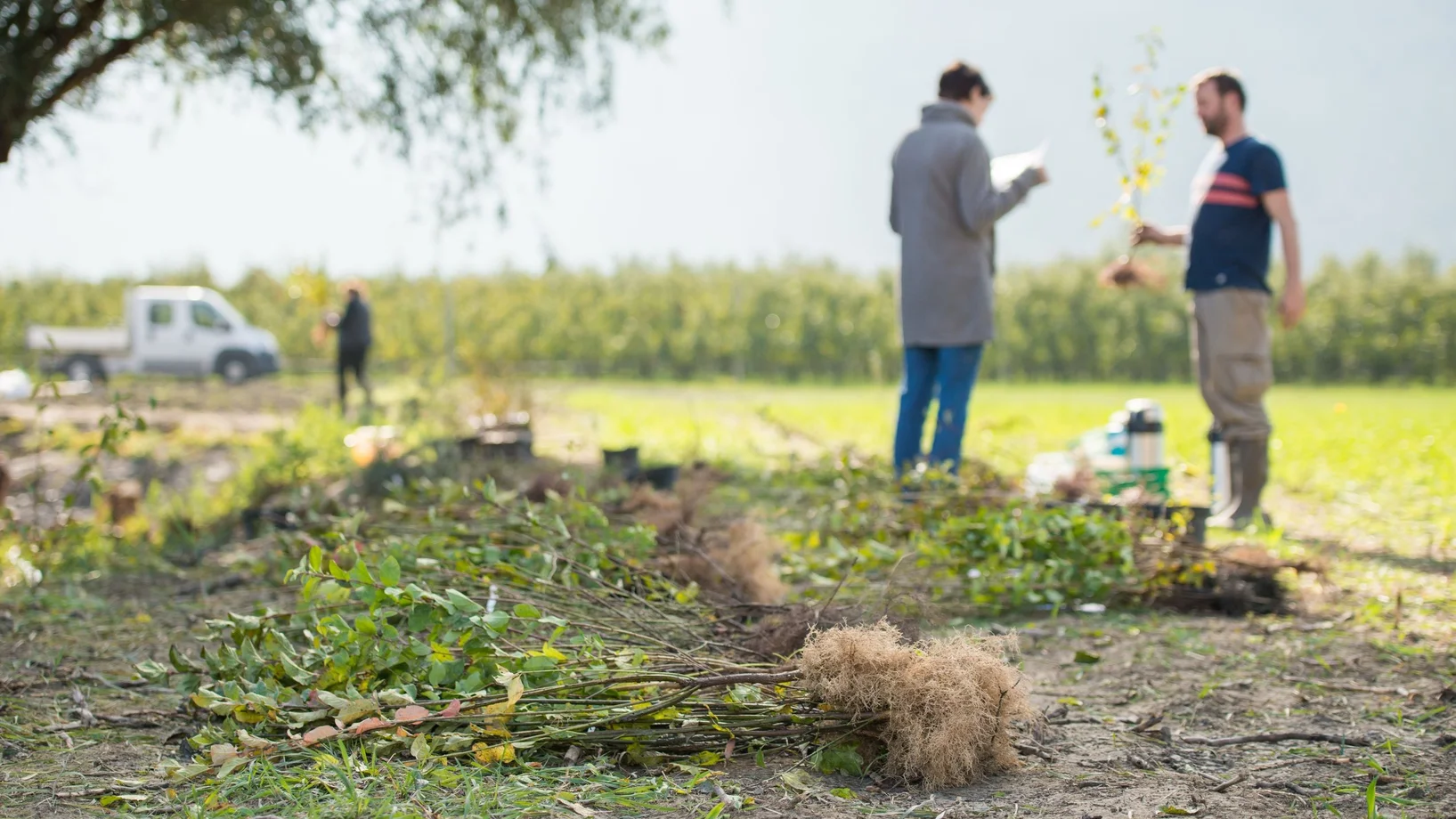 Wir ergänzen eine neu angelegte Teichlandschaft mit einer ökologisch wertvollen Hecke und schaffen damit noch mehr Raum für die Natur.