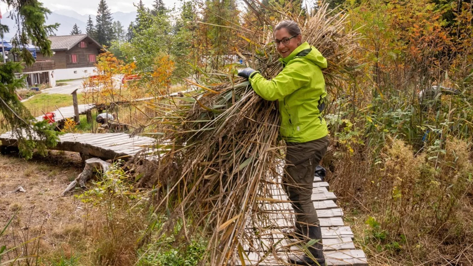 Am 2. Moor-Entbuschungstag im Glaubenberg schaffst du gemeinsam mit anderen Freiwilligen noch mehr Licht und Raum für seltene Pflanzen und Tiere.