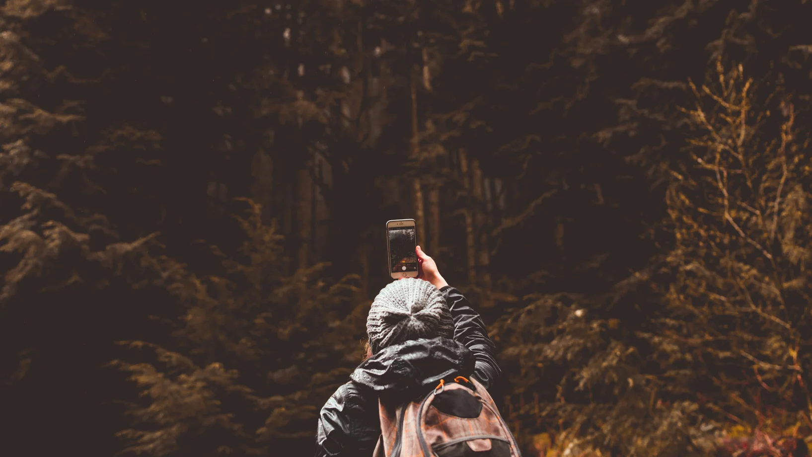 A lone hiker captures a selfie amidst the tranquil beauty of a forest.