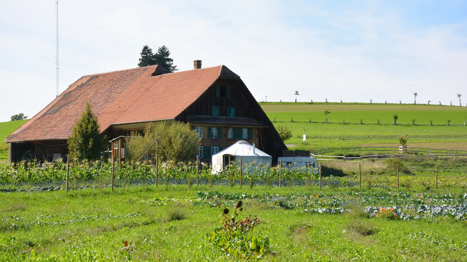 Der Katzhof im inmitten von Keylines im Hintergrund und Gemüseanbau im Vordergrund