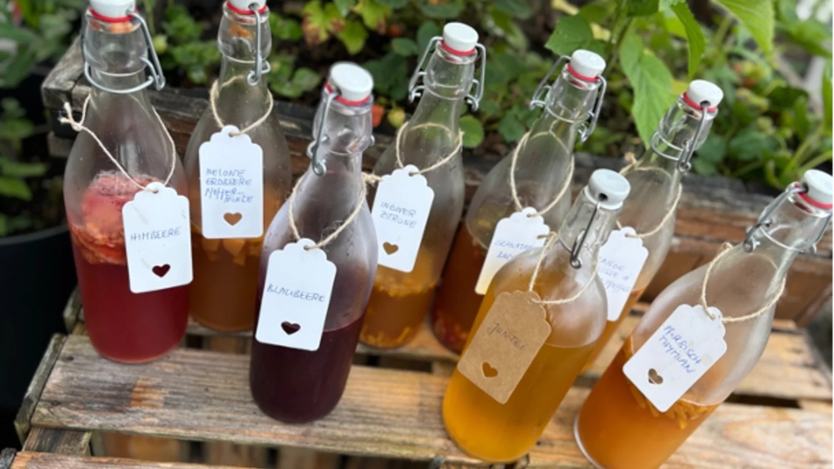 Feine Kombucha Variationen