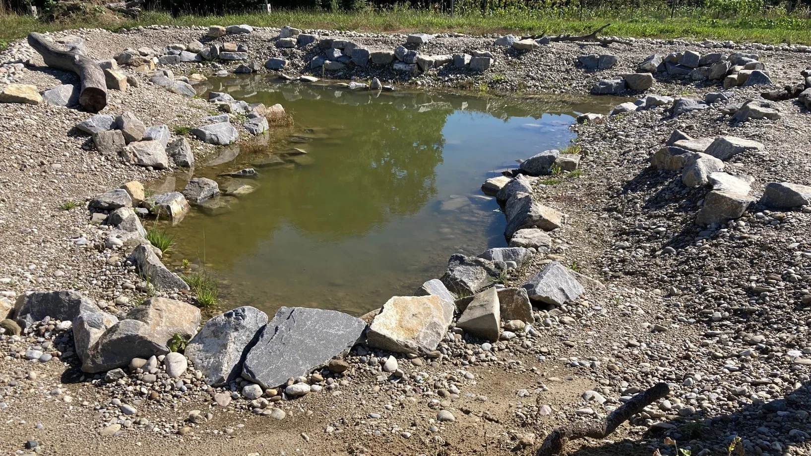 Retentionsweiher Katzhof