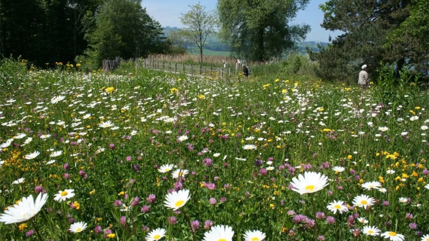 «Schau rein» Vielfalt vor der Haustür