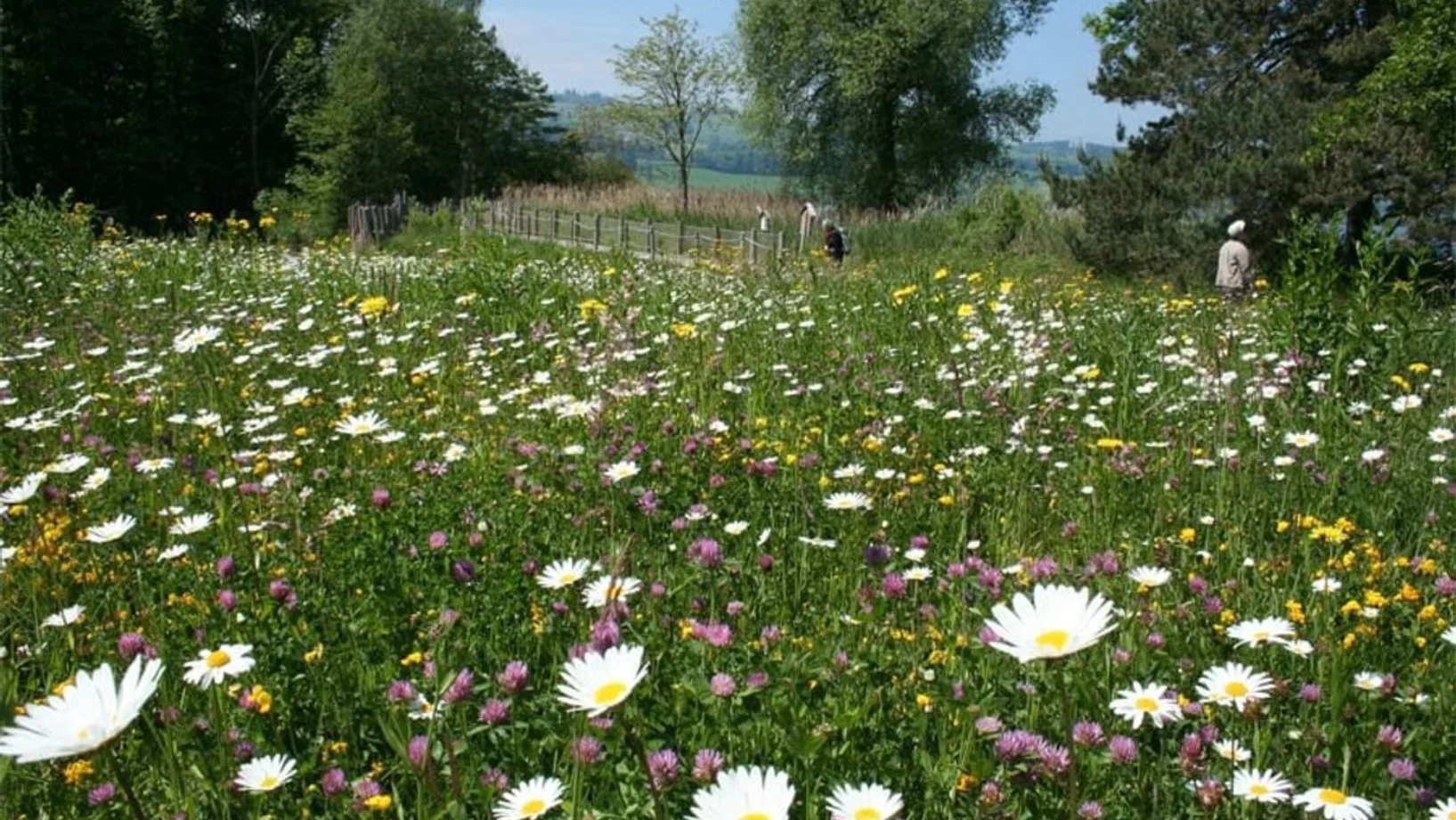 «Schau rein» Vielfalt vor der Haustür