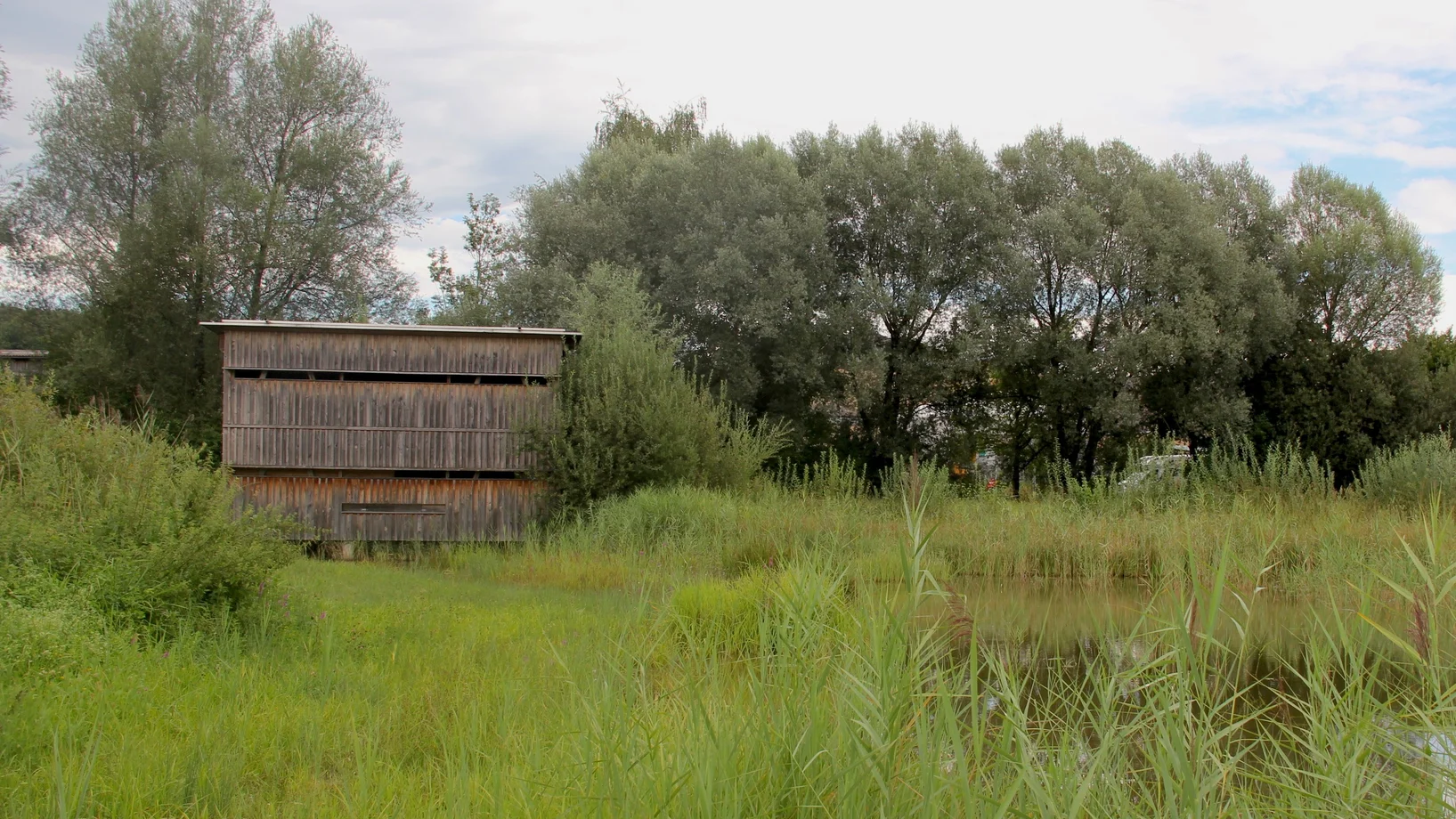 Beobachtungshütte im Ronfeld