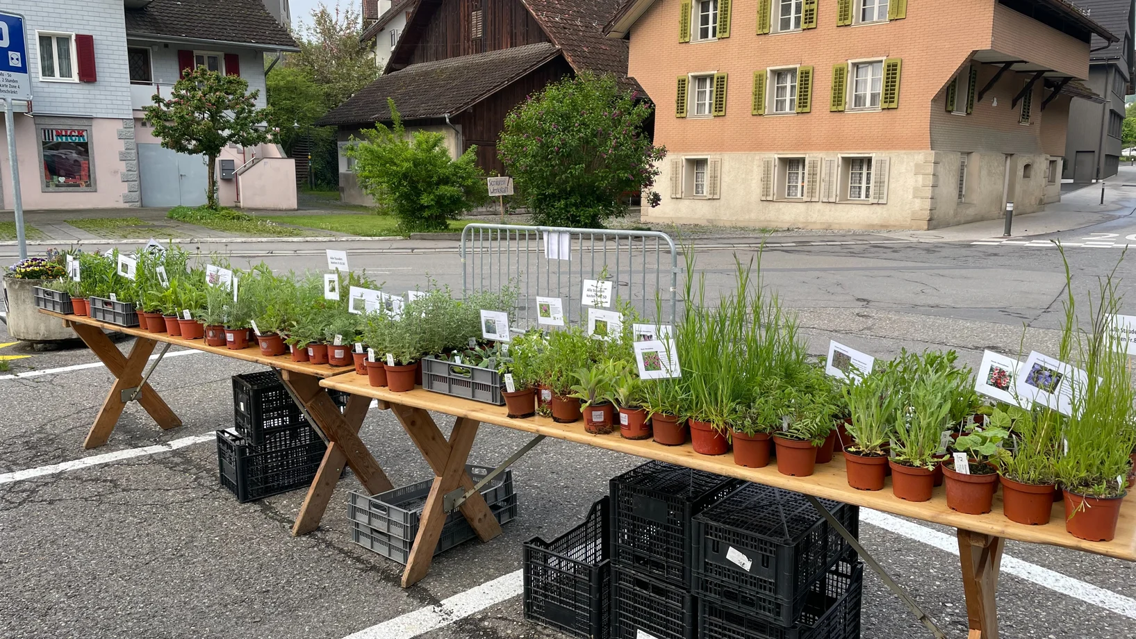 Marktstand Rössliplatz Eschenbach