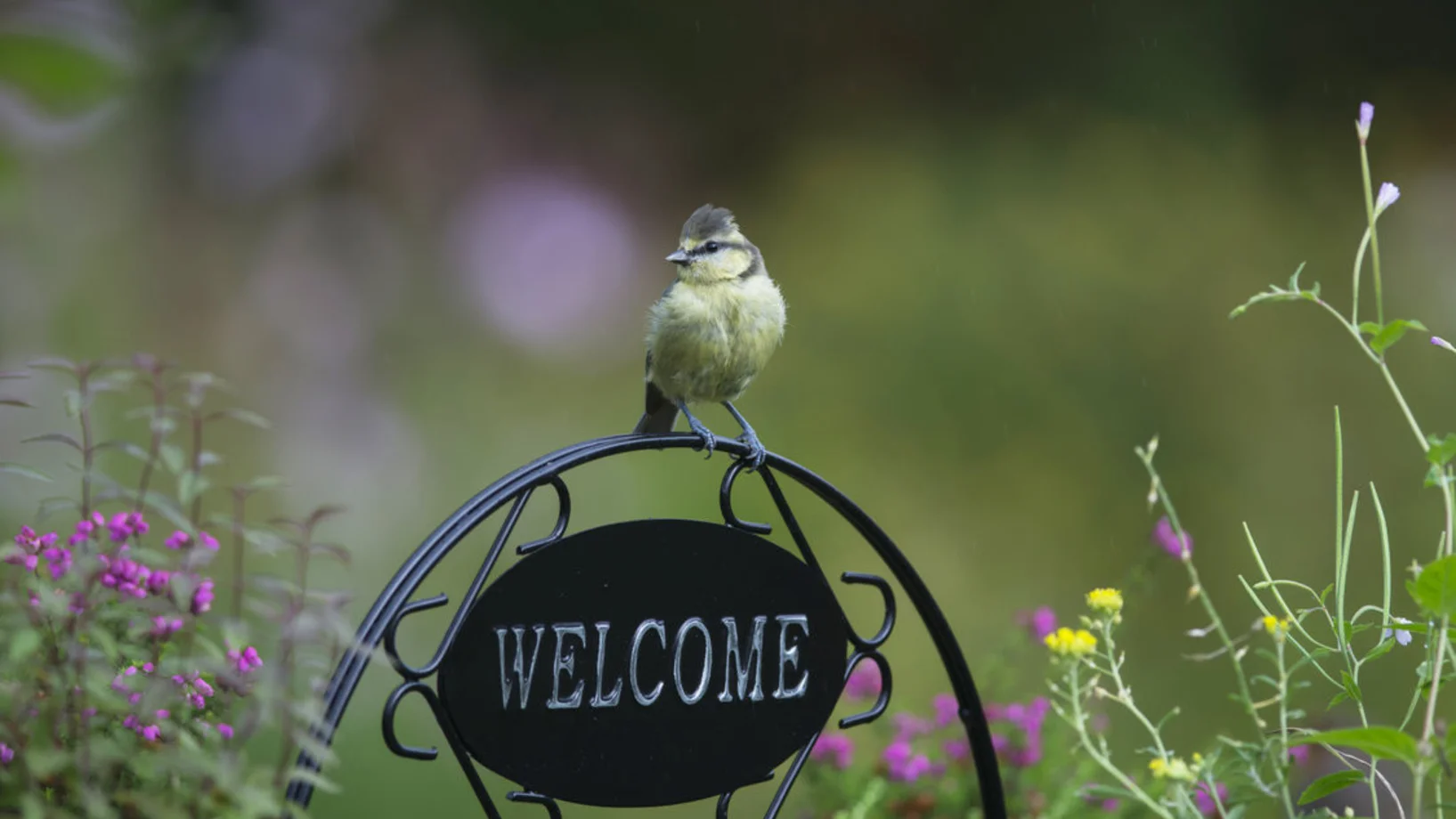 «Schau rein» - Vielfalt vor der Haustür
