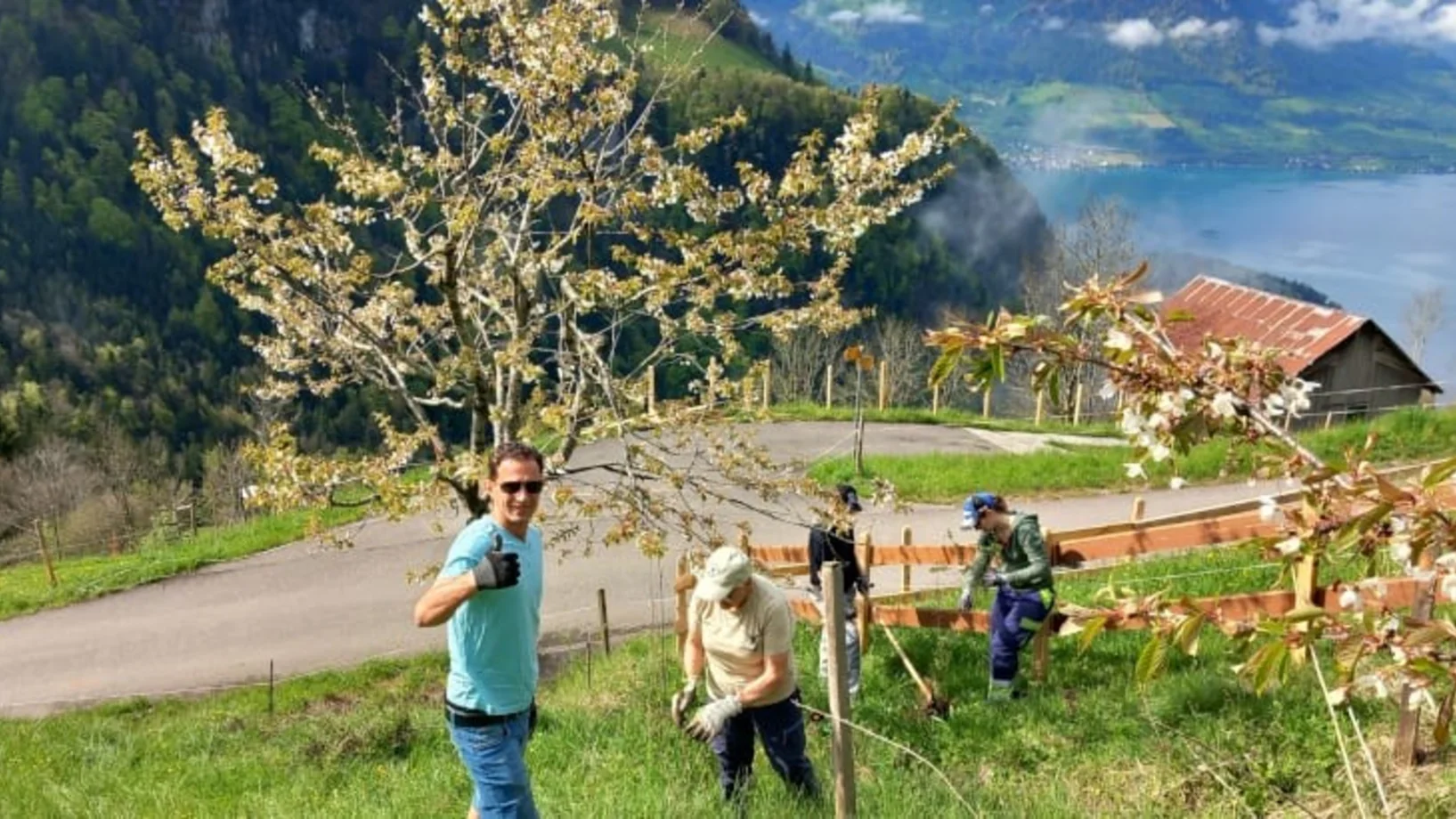 Natur Verbindet - Bring die Rigi zum Blühen