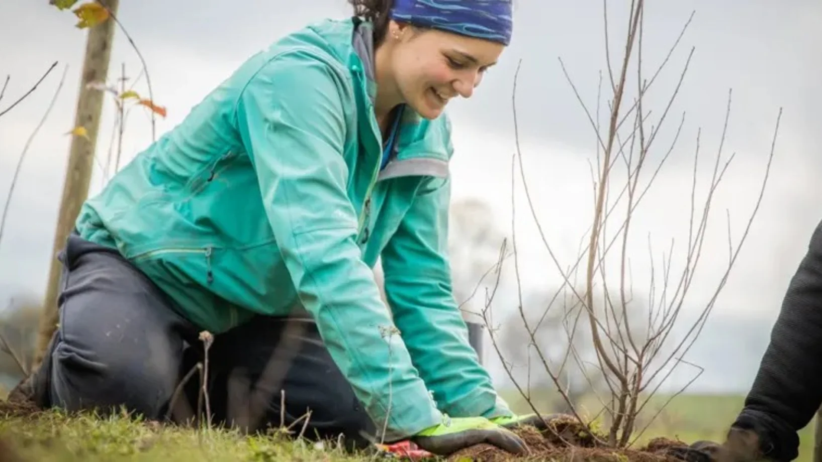 Natur Verbindet - Heckenheld:innen gesucht