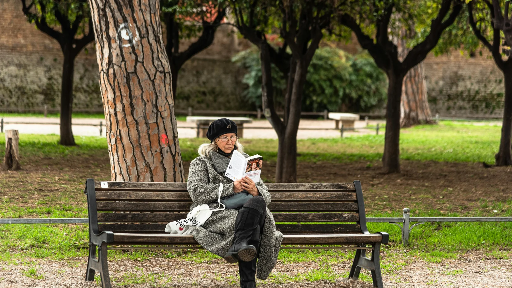 Elderly woman enjoying a book on a park bench surrounded by greenery and trees.