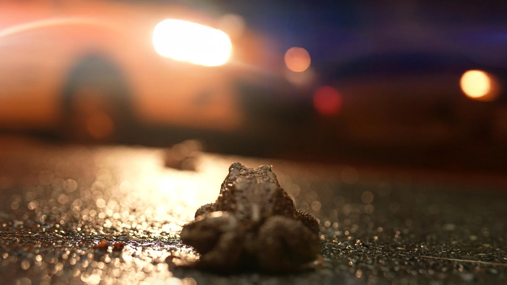 Poster zum Kurzfilm risky routes