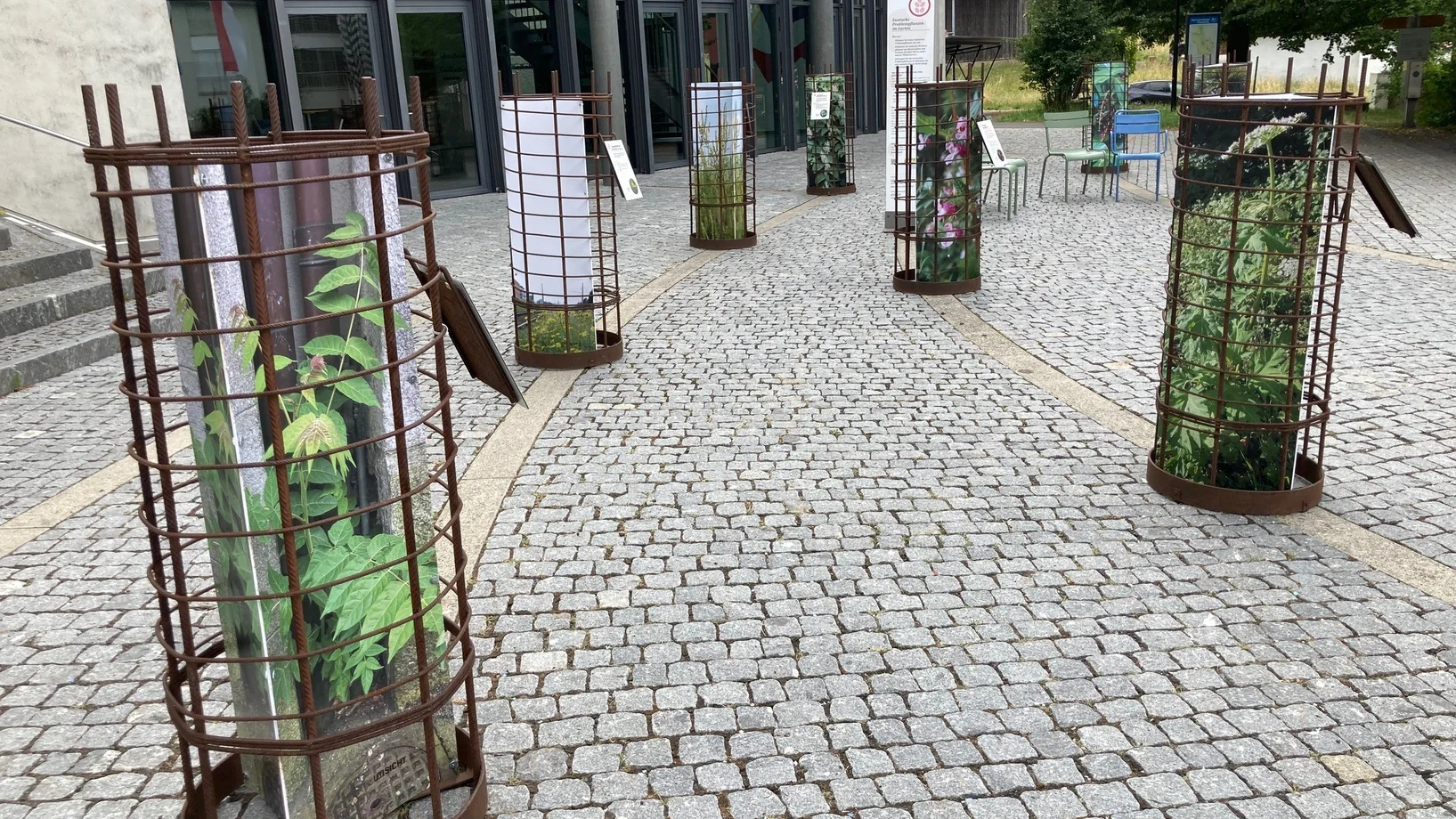 Bilderausstellung Neophyten