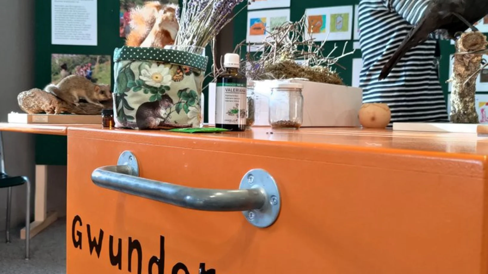 Gwunderstunde: Ausgraben