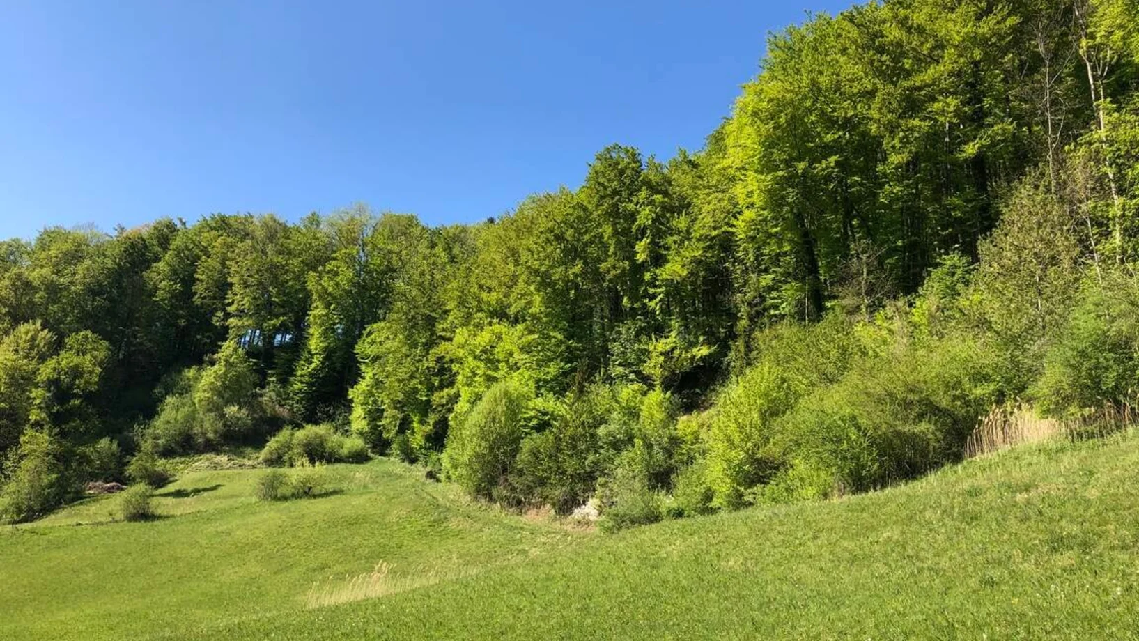 Gitzitobel