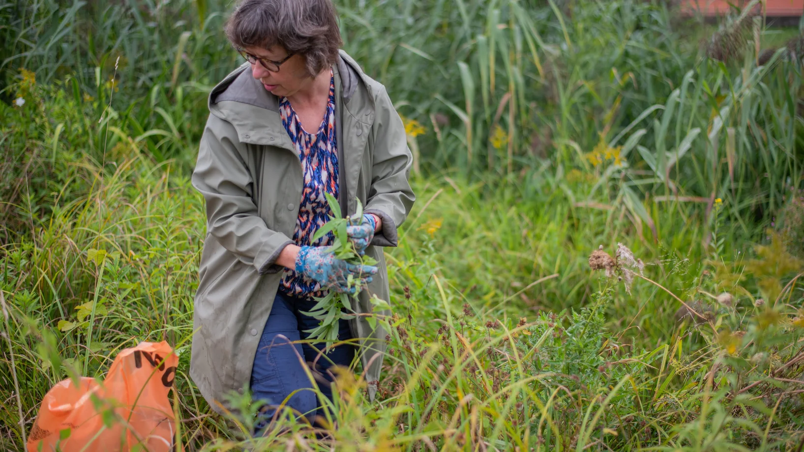 Freiwillige bei Neophytenaktion