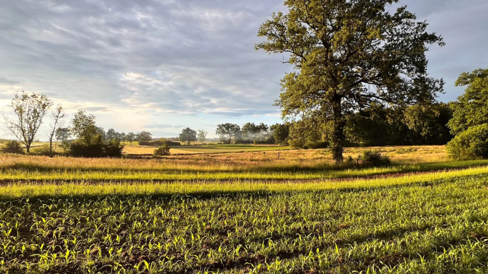 «Schau rein» Landwirtschaft und Biodiversität - geht doch!
