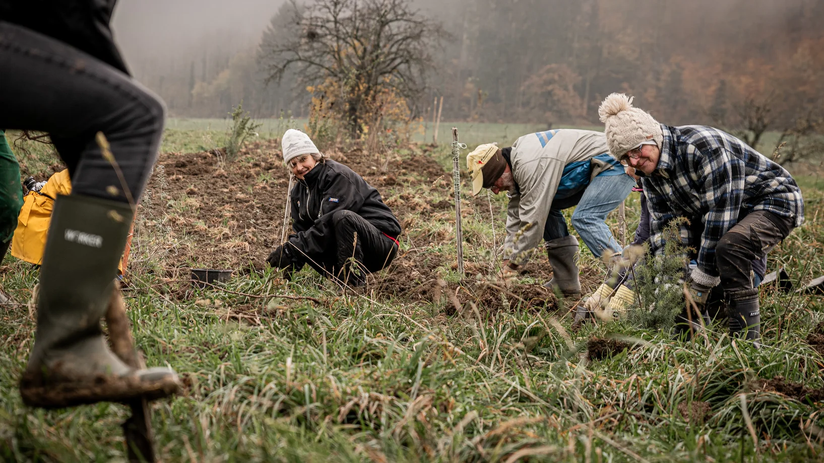 Personen am Hecken pflanzen