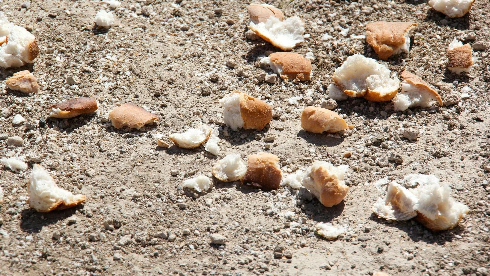 Verstreute Brotbrocken am Boden