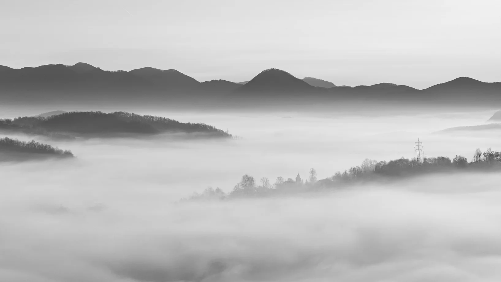 Nebellandschaft