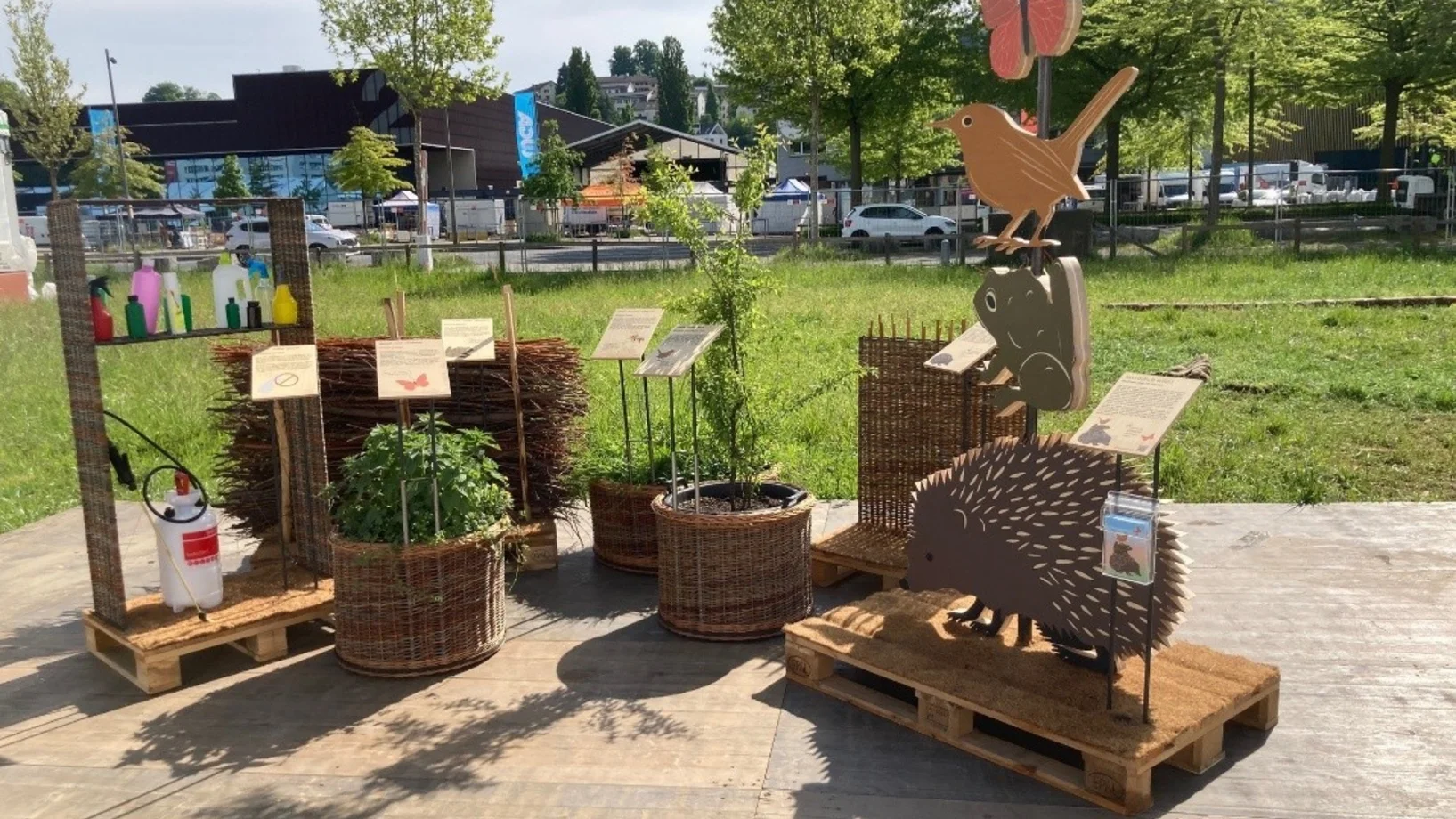 Bild Ausstellung Biodiversität