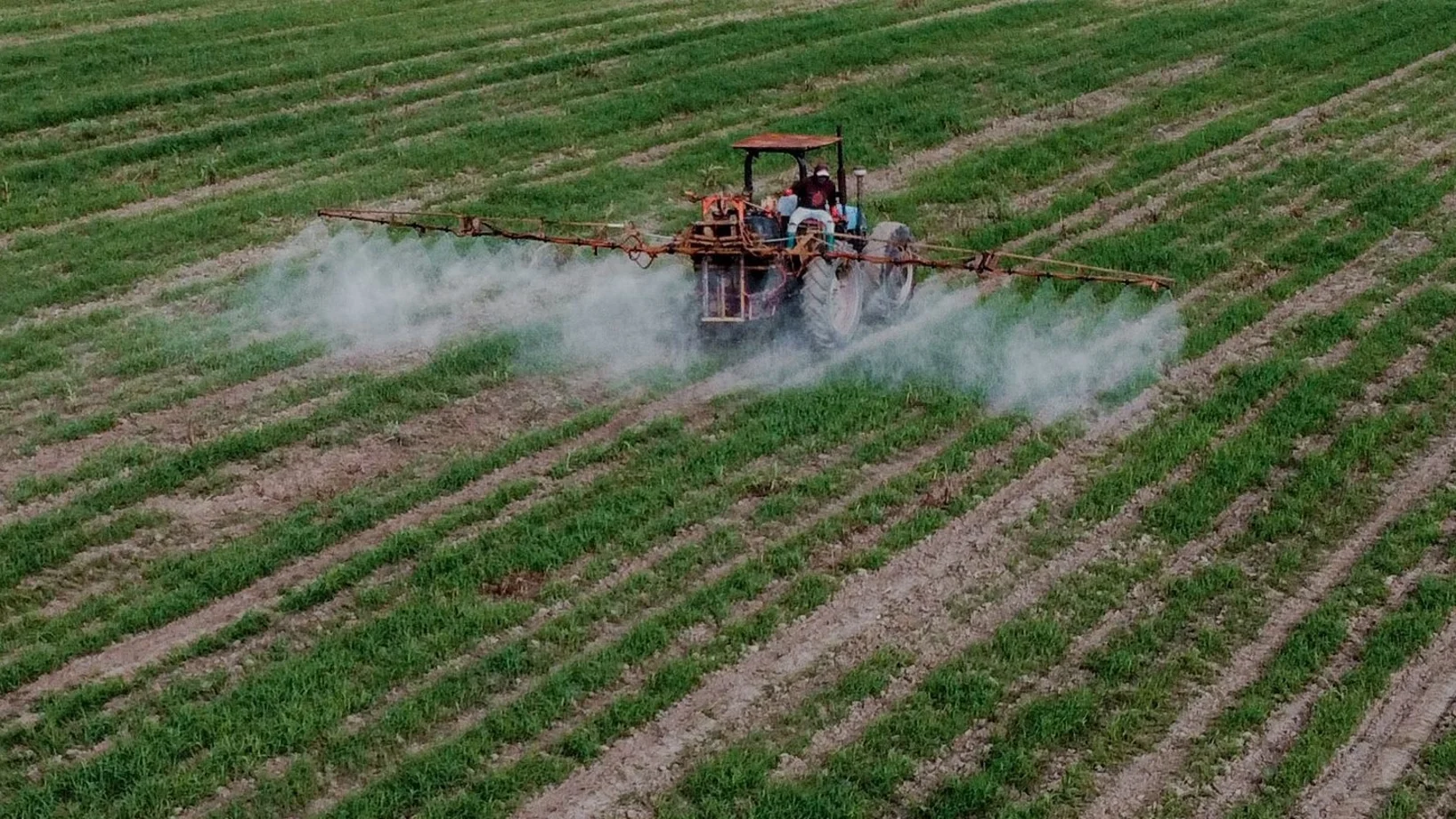 Traktor beim Spritzen auf dem Feld