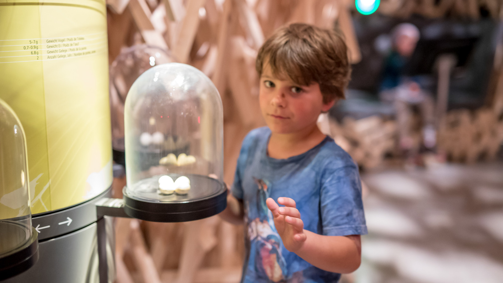 Ein Kind betrachtet ein Exponat der Ausstellung.
