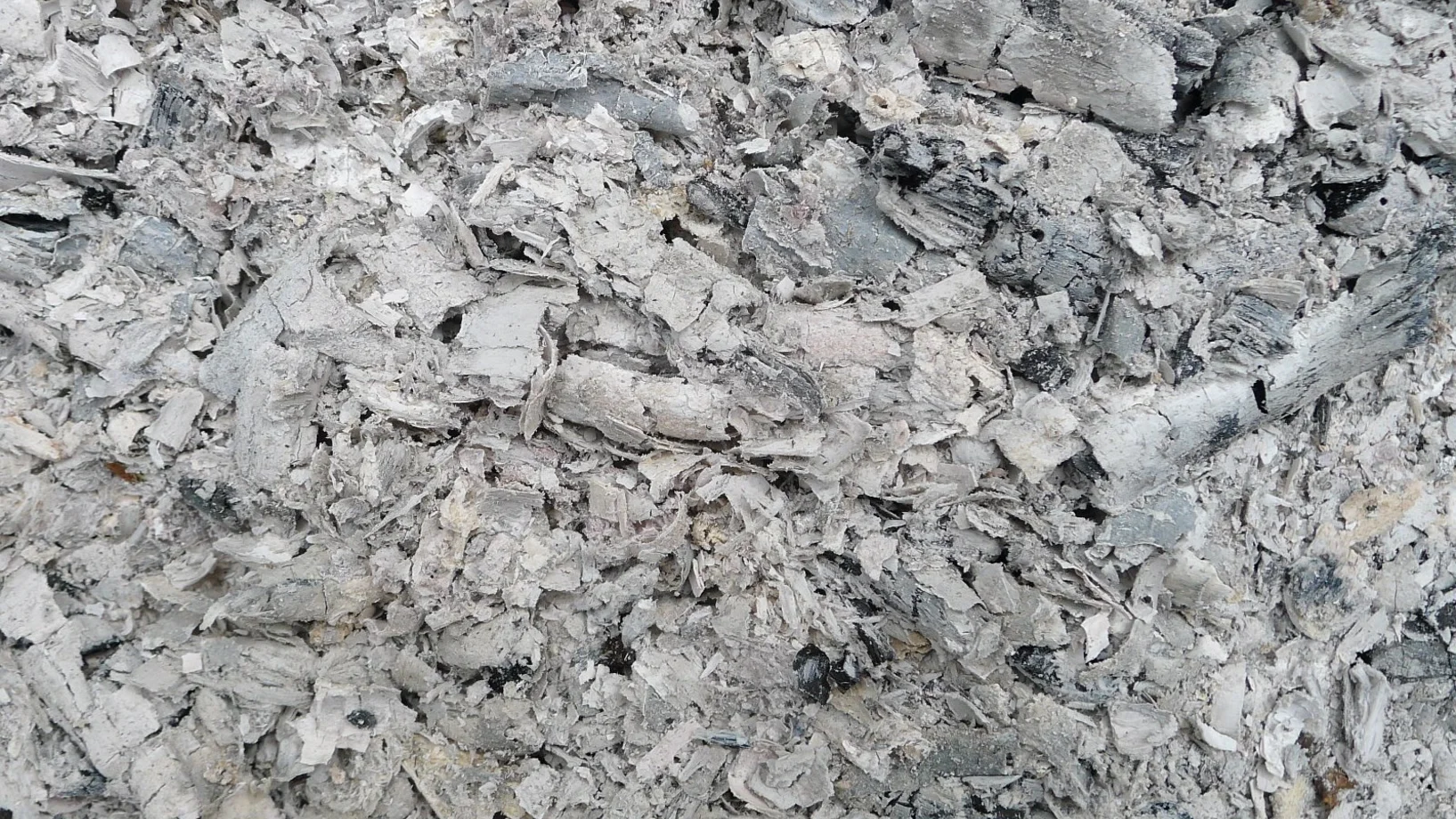 Eine Menge grauer Holzasche