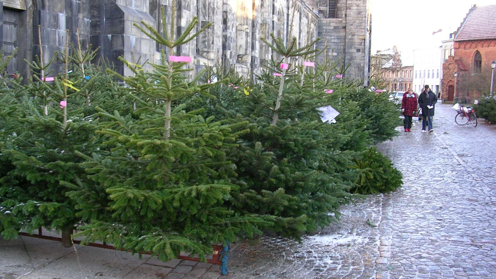 Christbaum-Markt