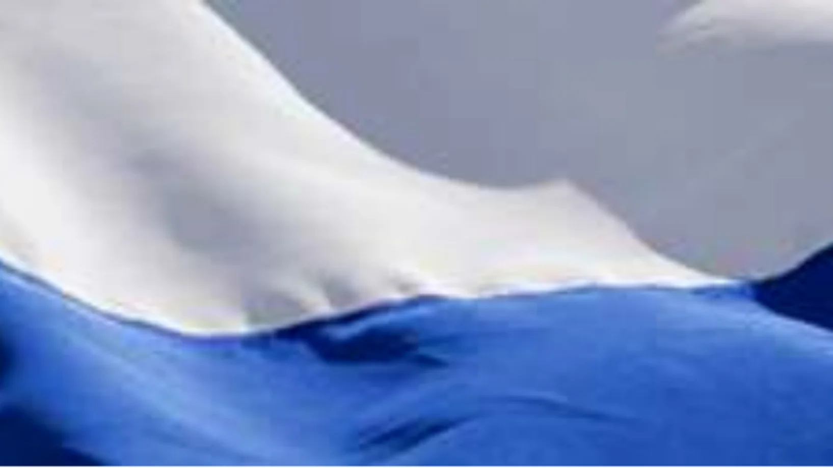 Flagge Kt. Luzern
