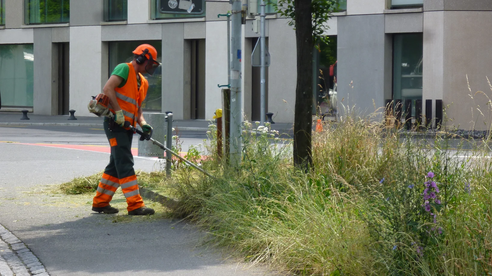 Das Bild zeigt einen Werkdienstmitarbeiter beim Mähen einer Grünfläche