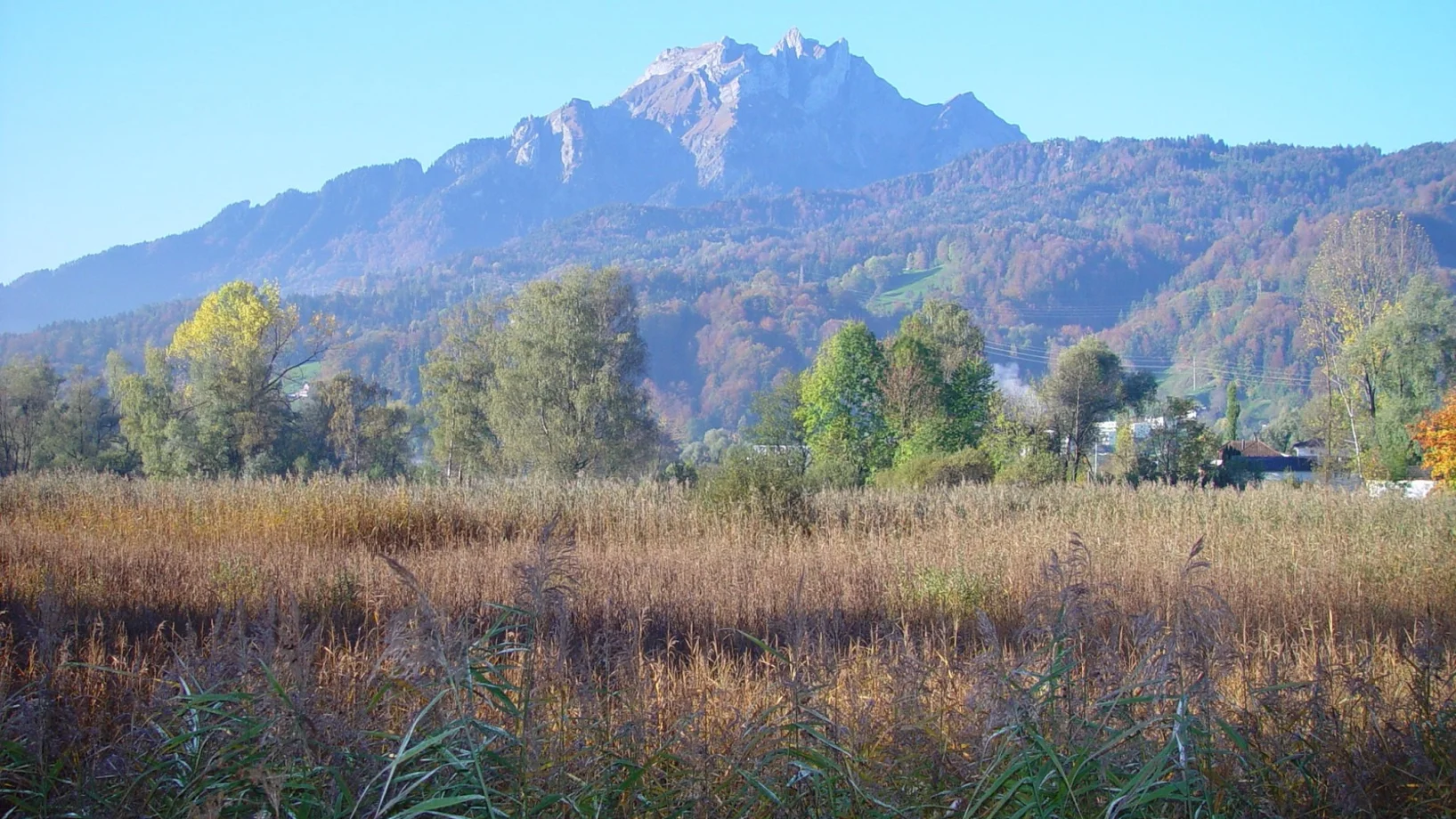 Ried mit dem Pilatus im Hintergrund