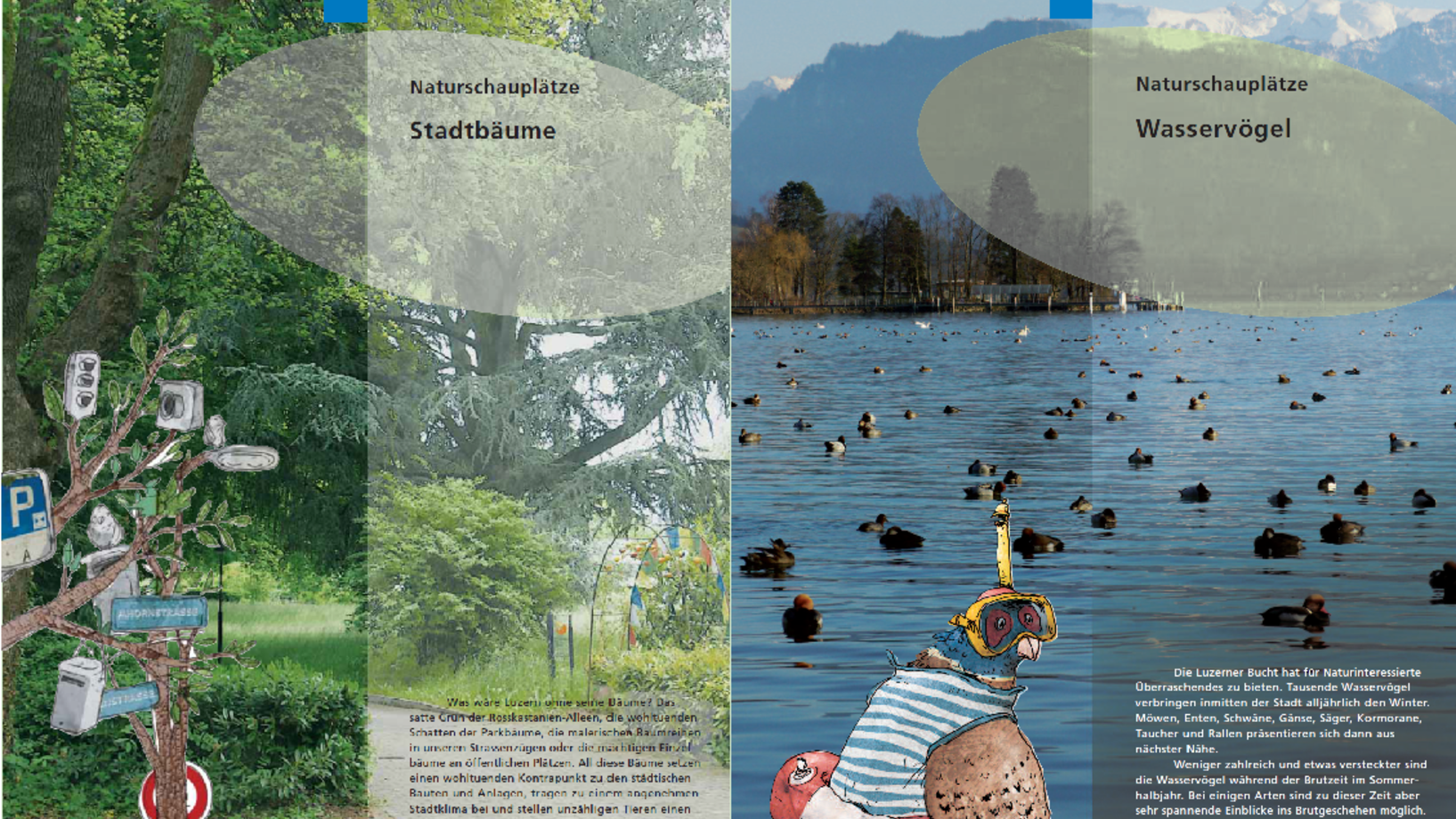 Titelseite der Naturschauplätze Broschüren Stadtbäume und Wasservögel