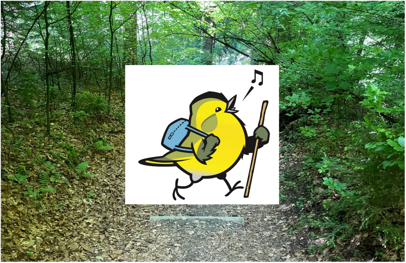 Wandervogel zum Thema Boden