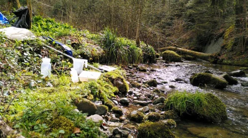 Waldbach